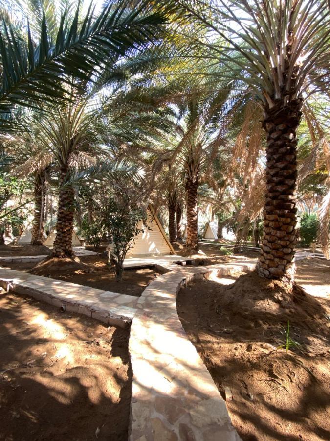 Husaak Glamping Ξενοδοχείο Al Ula Εξωτερικό φωτογραφία